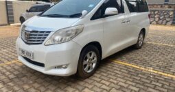 Toyota Alphard 2010